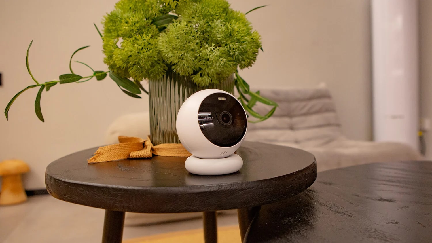 Pet Security Camera